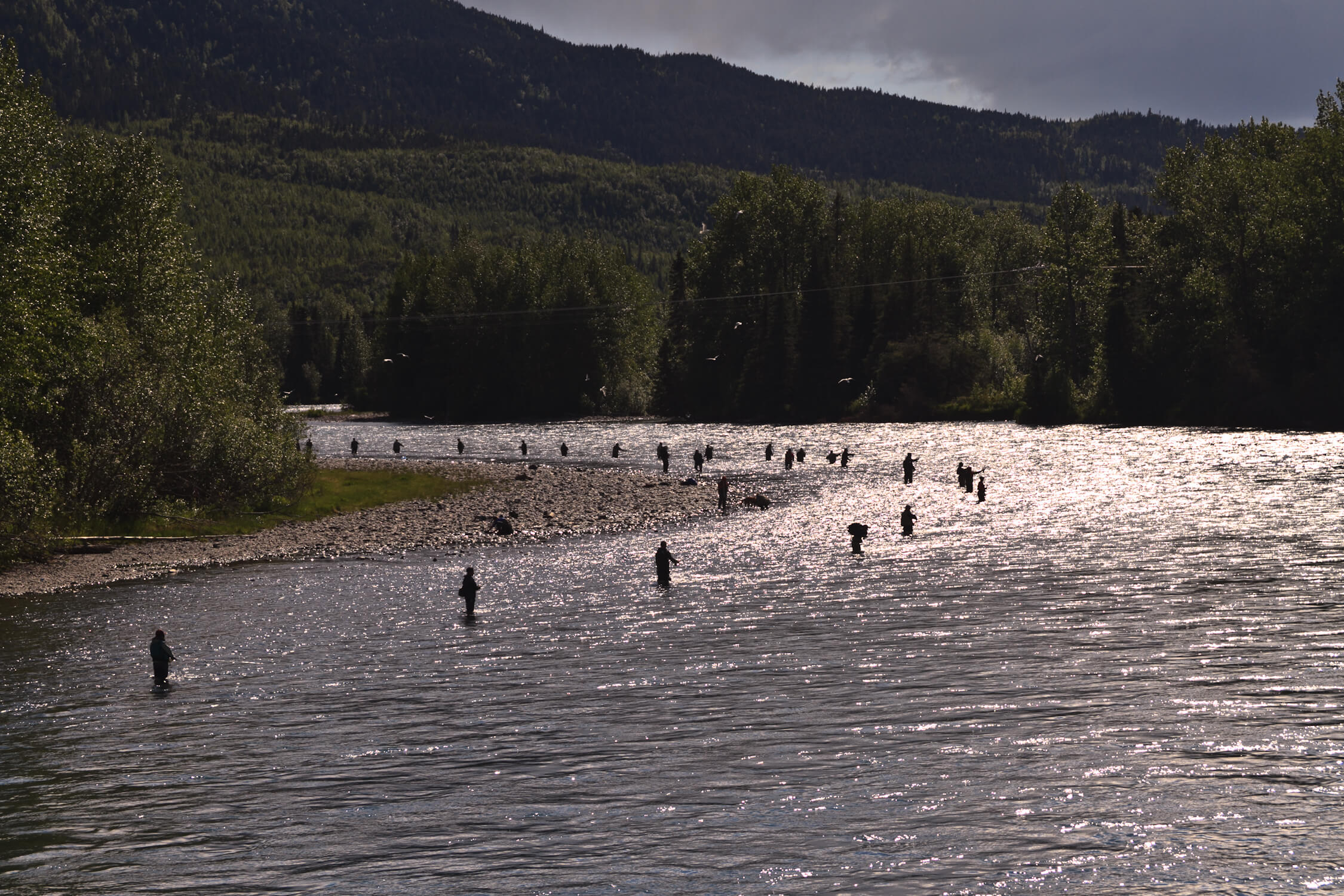 Cooper Landing Hotels, Camping, Shopping, Things To Do