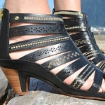 Shoefly Juneau Alaska