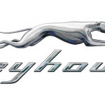Greyhounsd Bus