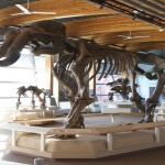 Beringia Interpretive Centre Whitehorse Yukon