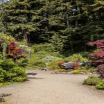 Glacier Gardens Rainforest Adventure Juneau Alaska