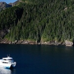 Kenai Fjords Tours Seward Alaska