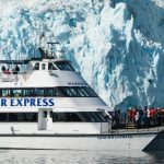Major marine tours in seward alaska