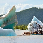 Mendenhall Lake Canoe Adventure Juneau Alaska