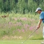 Northstar golf club fairbanks alaska