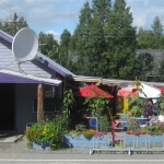 mountian high pizza talkeetna alaska