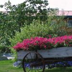 Caribou Hotel Glennallen Alaska