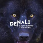 denali back country adventures