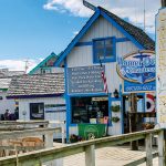 homer ocean charters - alaska