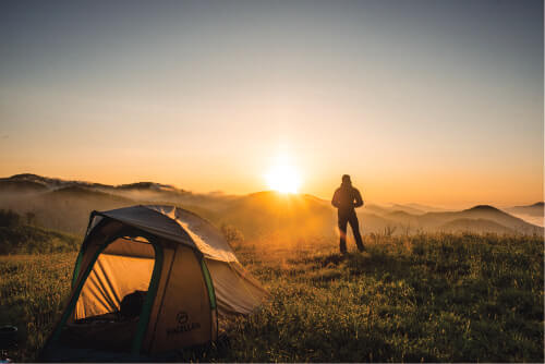 Camping with Mosquitoes in Alaska