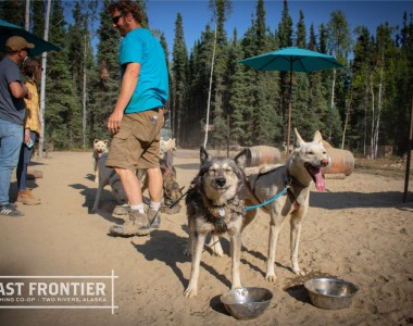 Last Frontier Mushing Co-op Last Frontier Mushing Co-op
