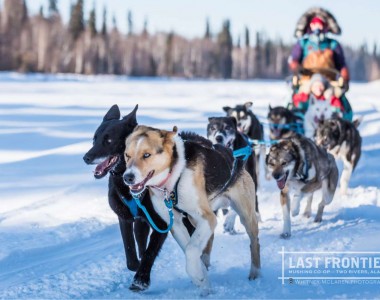 Last Frontier Mushing Co-op Last Frontier Mushing Co-op