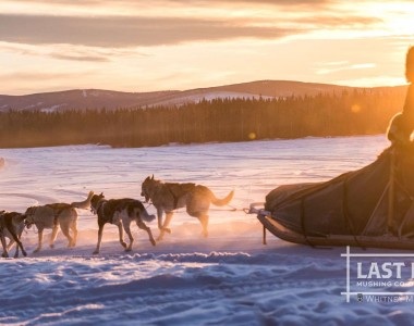 Last Frontier Mushing Co-op Last Frontier Mushing Co-op