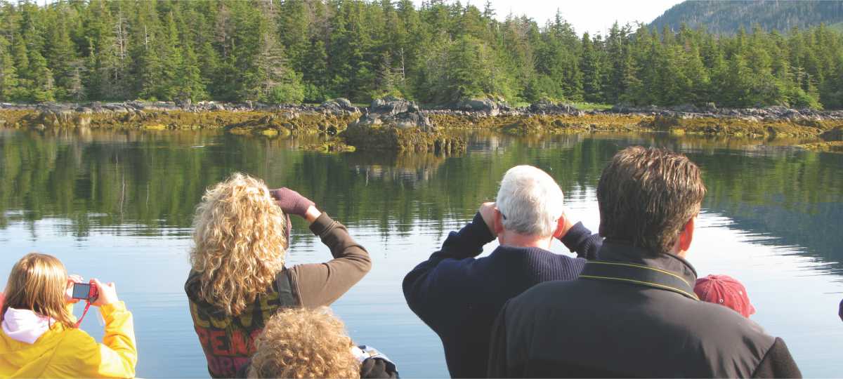 Allen Marine Tours - Sea Otter & Wildlife Quest - Bell's Travel Guides