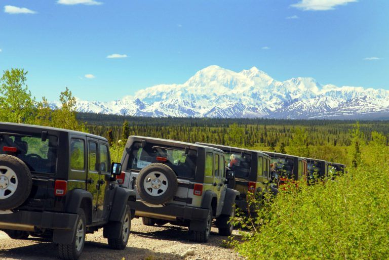 Denali Jeep Tours