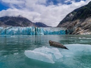 Dawes Glacier in Endicott Arm