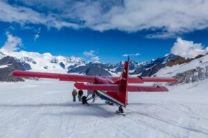Flightseeing Tour of Denali National Park