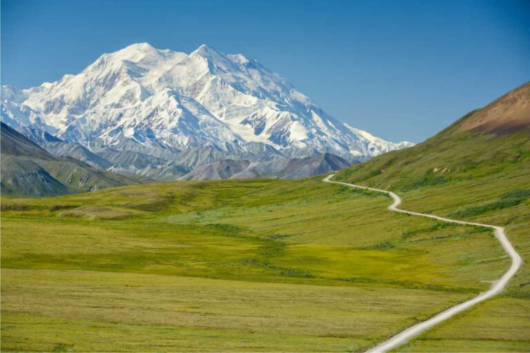 Road into Denali National Park