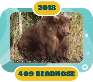 Fat Bear Week Winner 2018