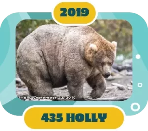 Fat Bear Week Winner 2019