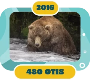 Fat Bear Week Winner 2016