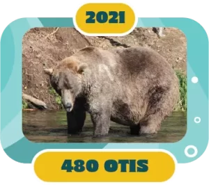 Fat Bear Week Winner 2021