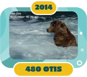 Fat Bear Week Winner 2014