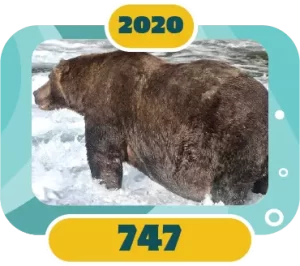 Fat Bear Week Winner 2020