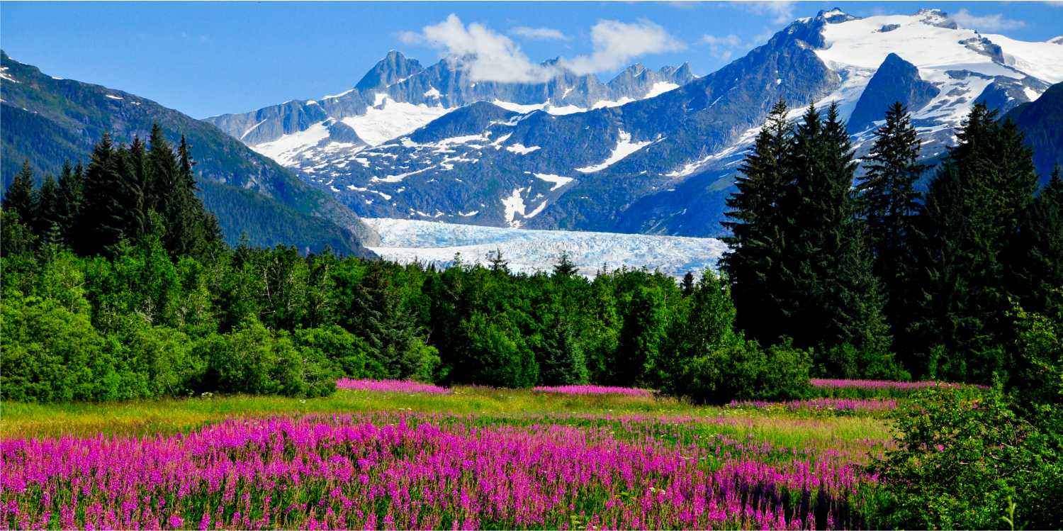 Alaska in June Is this the best month to visit Alaska?