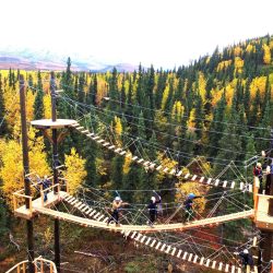 Denali Park Zipline Denali National park zipline tour