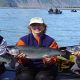 Kenai Riverside Fishing Cooper Landing Alaska