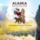 alaska-wildlife-center-3 alaska-wildlife-center-3