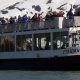 portage-glacier-cruise1 portage glacier cruises mv ptarmigan